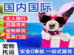 大水泊航空快递国际宠物托运 【国